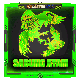 sabung ayam